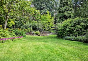 Optimiser l'expérience du jardin à Mesnil-Clinchamps